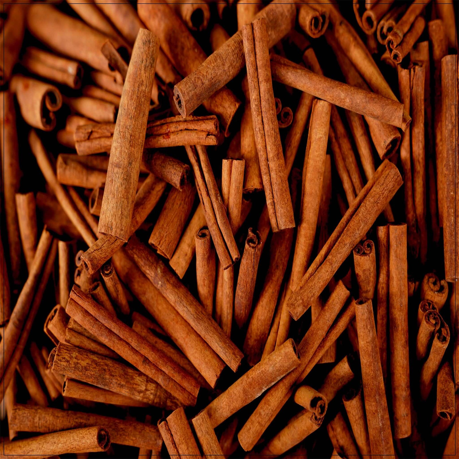 Pure Cinnamon Sticks - Buy from the health food store in the USA - Alive Herbals