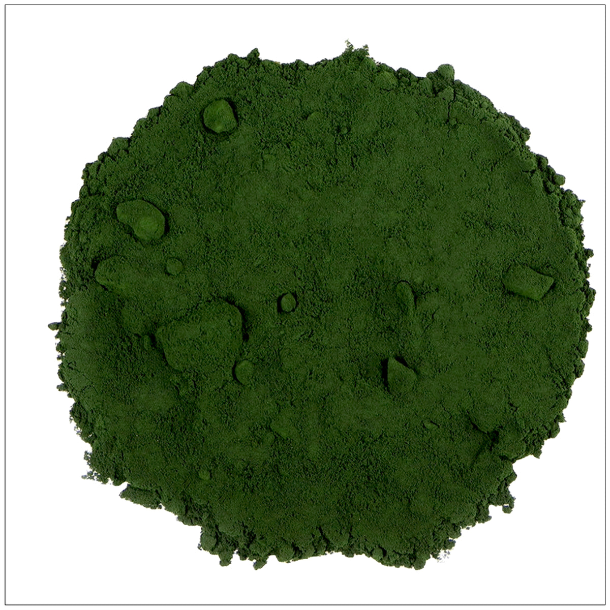 Chlorella powder—rich in chlorophyll, protein, and essential nutrients.