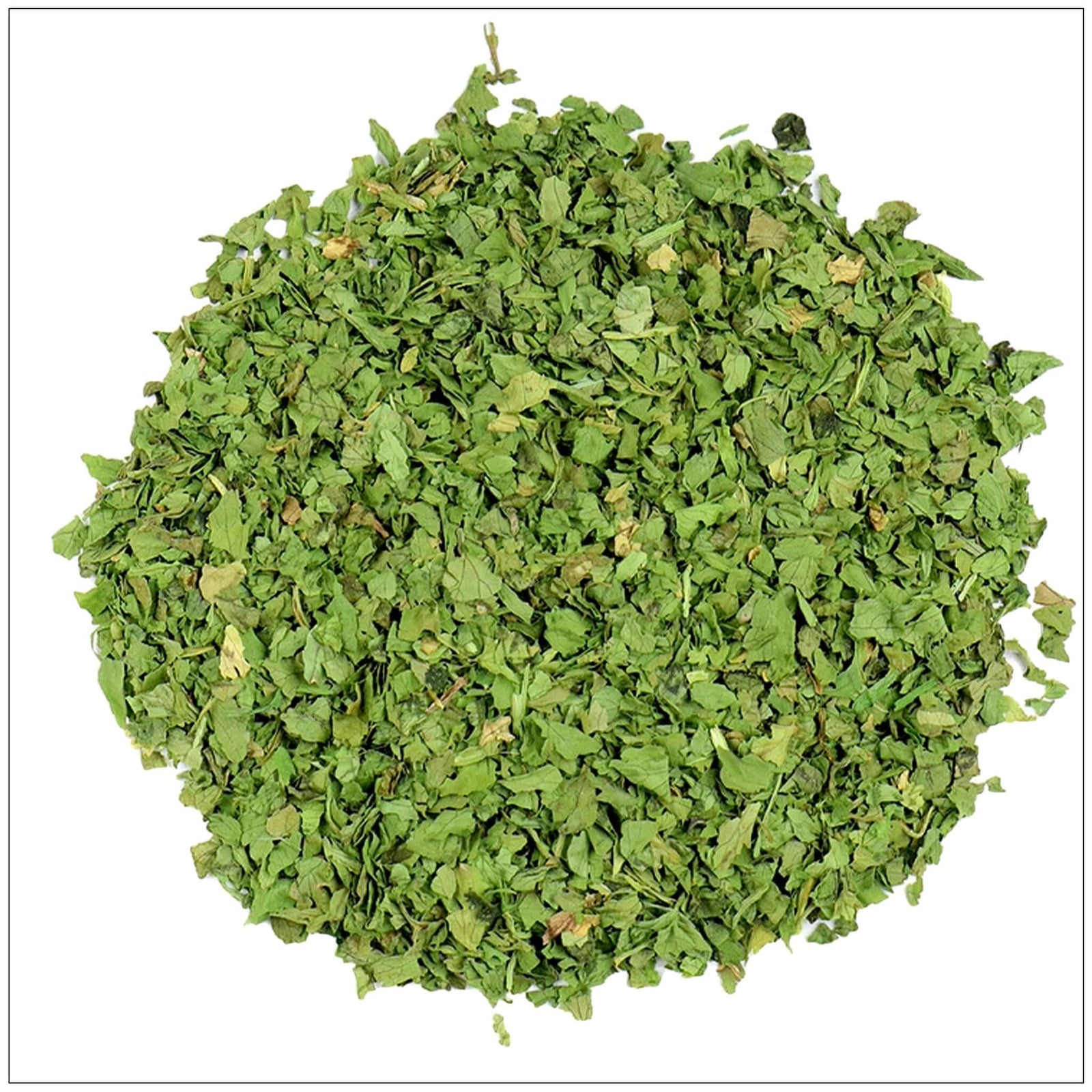 Fresh green cilantro leaves—buy from the health food store in the USA - Alive Herbals