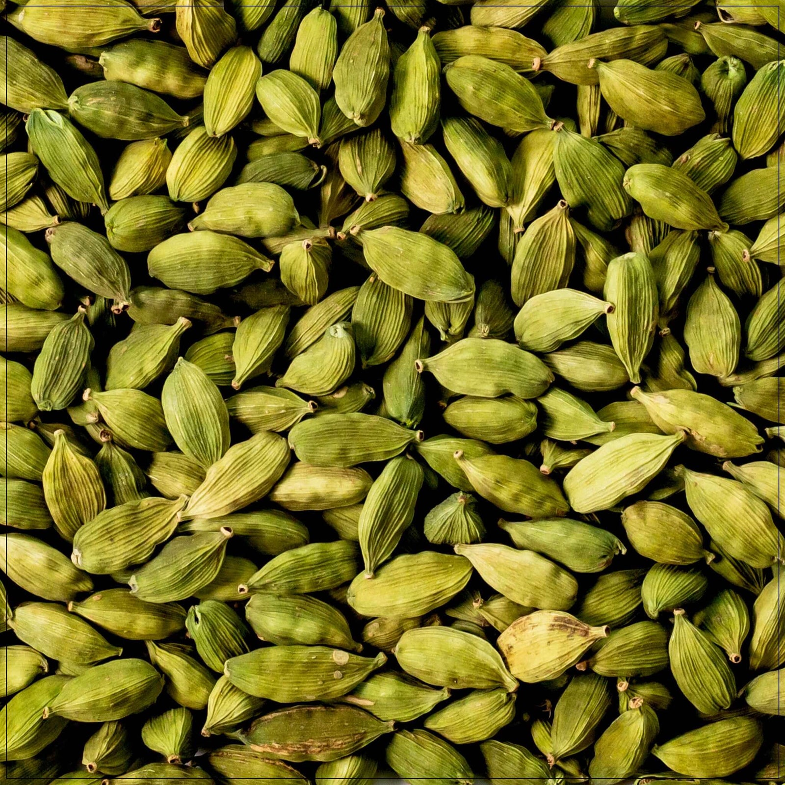 Fresh green cardamom pods close-up—aromatic spice for cooking, baking, and herbal teas.