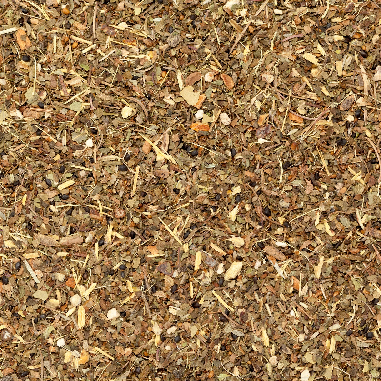 Tulsi tea buy from the health food store in the USA - Alive Herbals