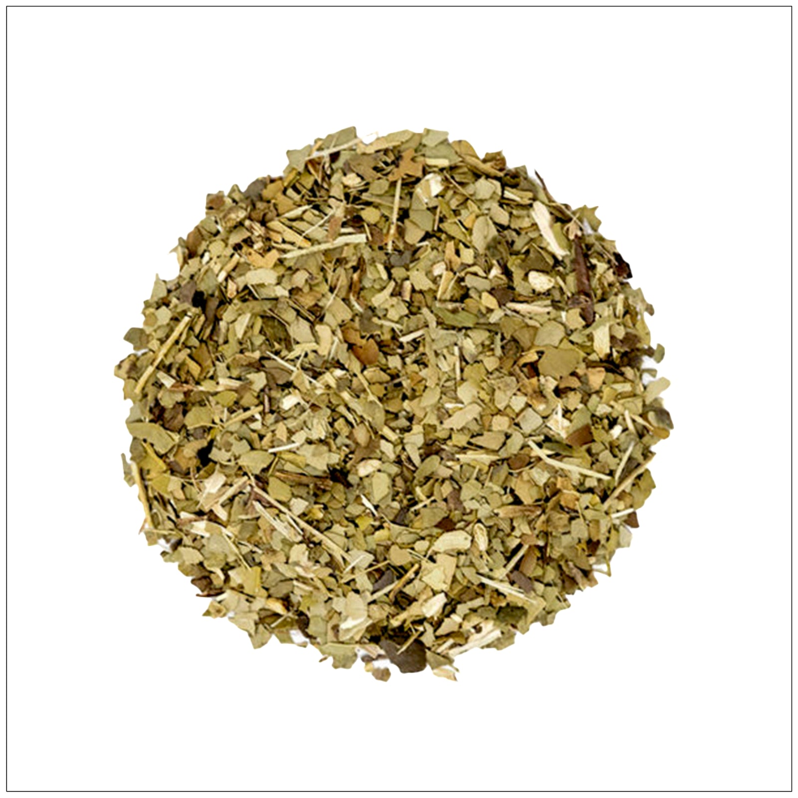 Yerba mate tea buy from the health food store in the USA - Alive Herbals