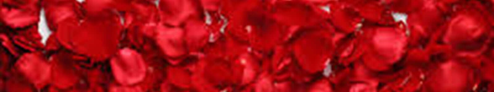 Dried Rose Buds - The natural foods store in the USA - Alive Herals.