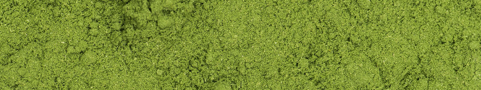 Barley Grass Powder - Buy best online herb store - Alive Herbals.