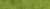 Barley Grass Powder - Buy best online herb store - Alive Herbals.