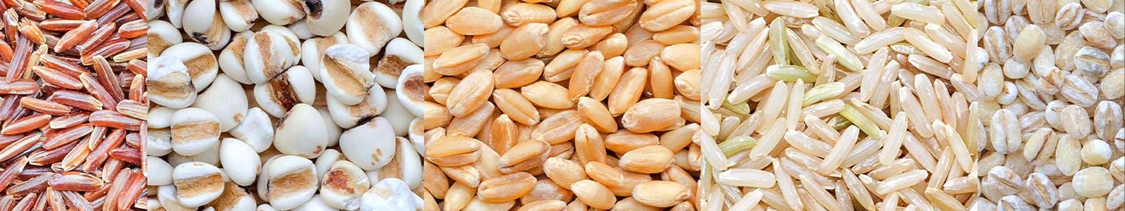 Rice Beans Grains Store