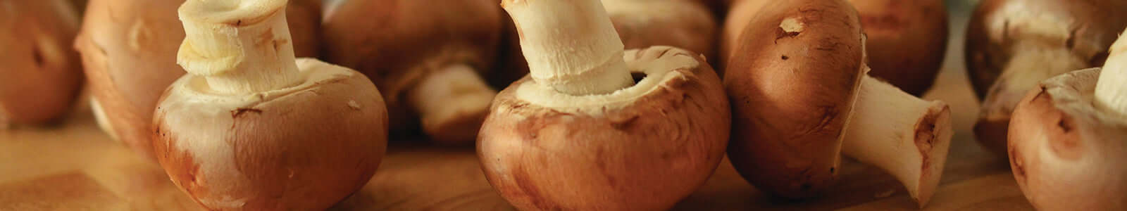 Mushrooms