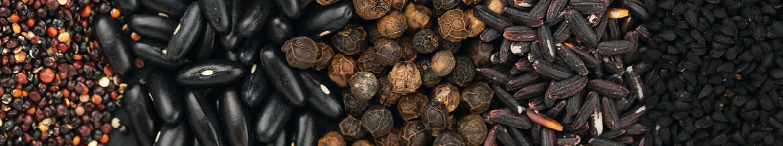 Seeds