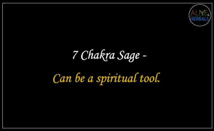 7 Chakra Sage - Buy from the natural health food store