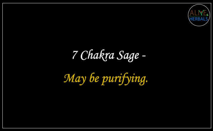 7 Chakra Sage - Buy from the natural herb store