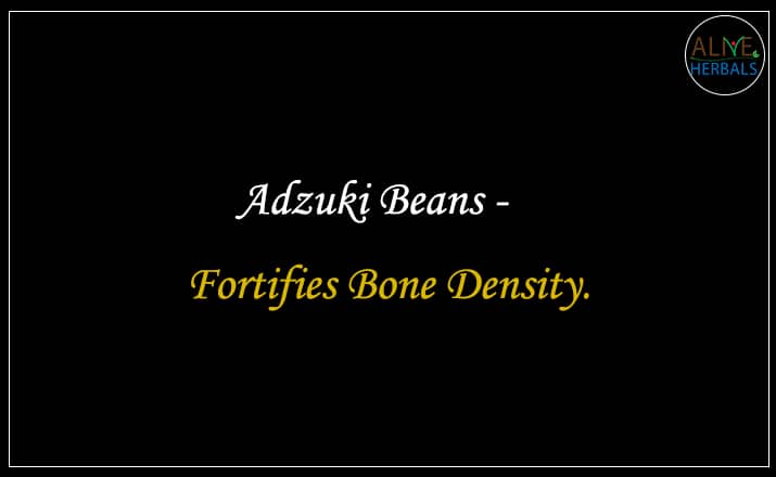 Adzuki beans - buy from the beans shop