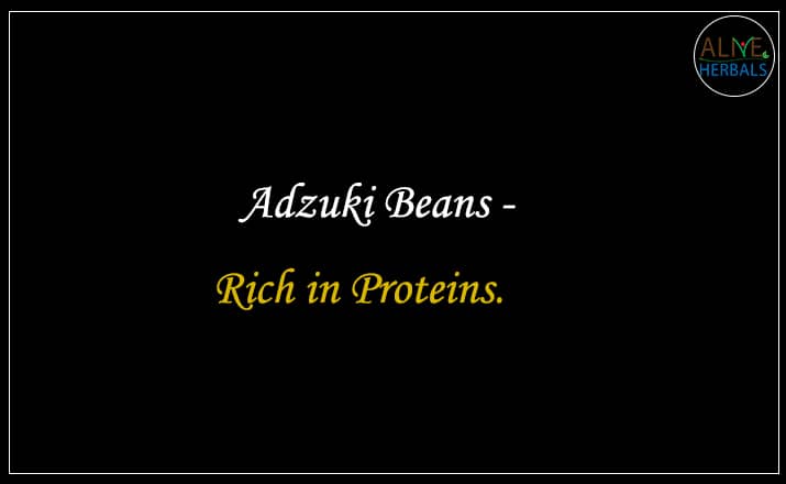 Adzuki beans - buy from the rice and beans online store