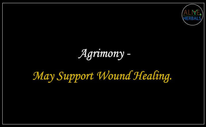 Agrimony - Buy at the Herbal Store Online - Alive Herbals.