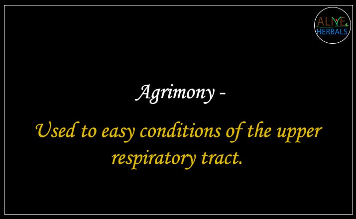 Agrimony - Buy at Herb Shop NYC - Alive Herbals.