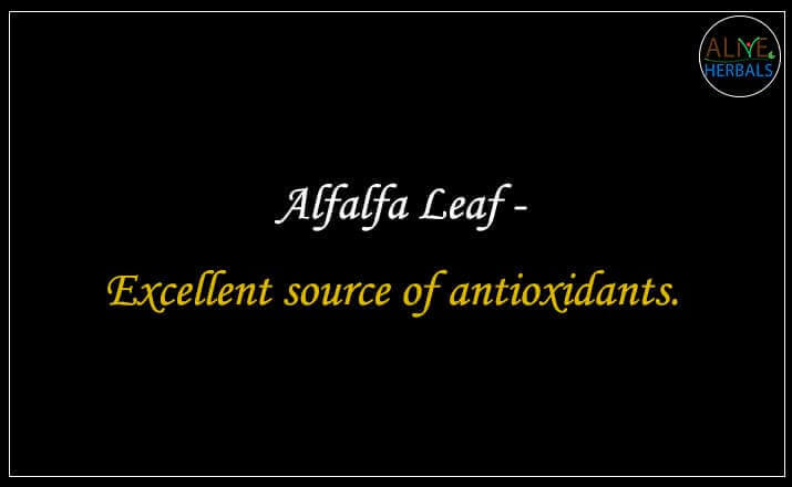 Alfalfa Leaf - Buy from the online herbal store