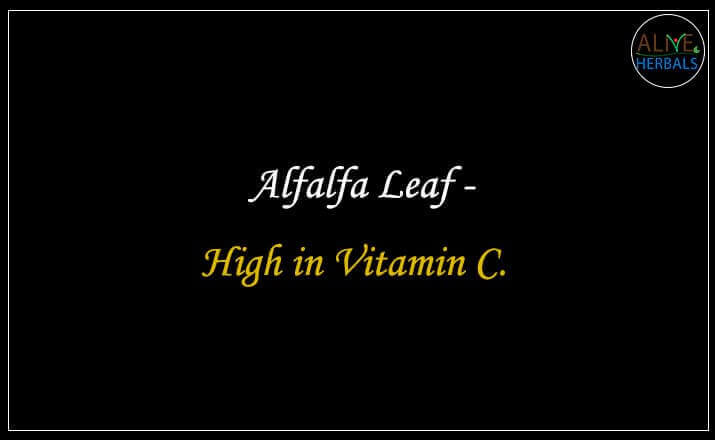 Alfalfa Leaf - Buy from the natural health food store