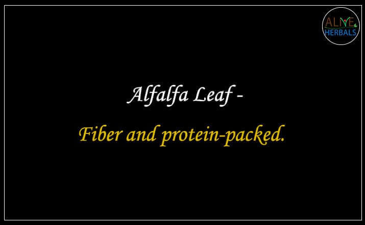 Alfalfa Leaf - Buy from the natural herb store