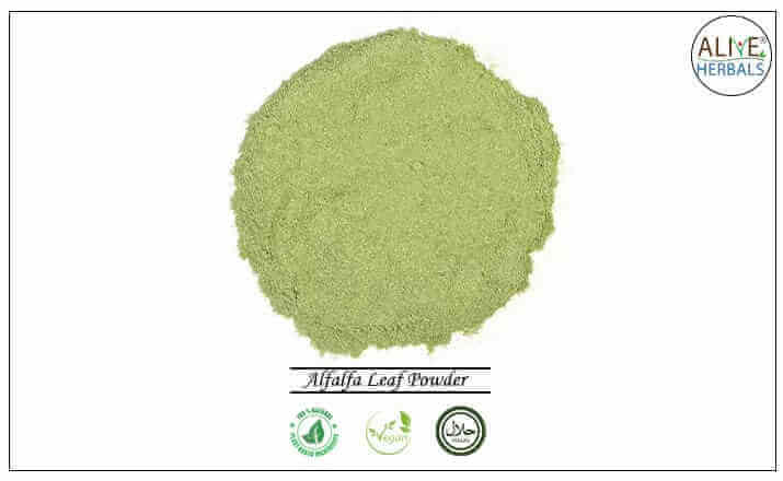 Alfalfa Leaf Powder - Buy from the health food store