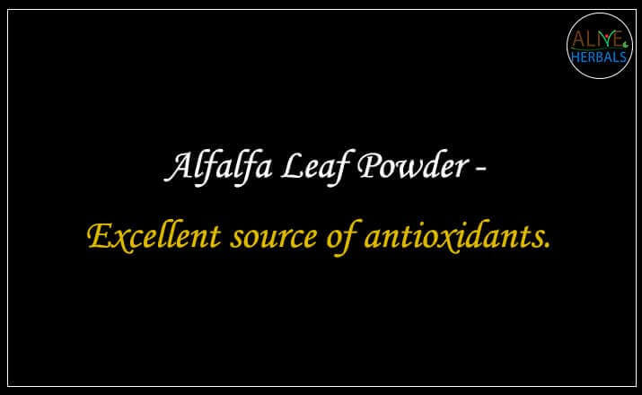 Alfalfa Leaf Powder - Buy from the online herbal store