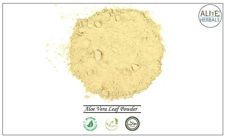 Aloe Vera Leaf Powder - Buy from the health food store