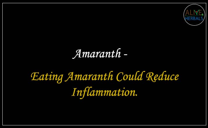 Amaranth - Buy From the grains shop