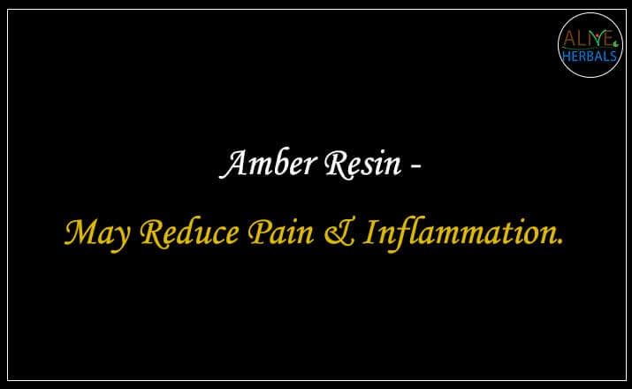 Amber Resin - Buy from the natural health food store