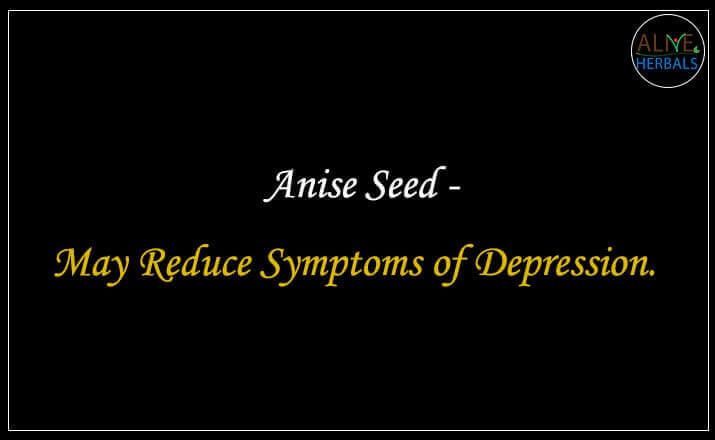 Anise Seed - Buy at the Spice Store Brooklyn - Alive Herbals.