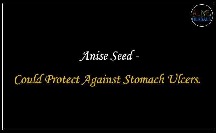 Anise Seed - Buy at Spice Store Near Me - Alive Herbals.