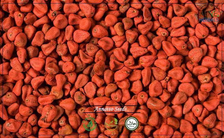 Annatto Seeds - Buy at the Online Spice Store - Alive Herbals.