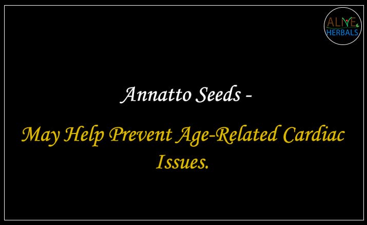 Annatto Seeds - Buy at the Best Spice Store NYC - Alive Herbals.