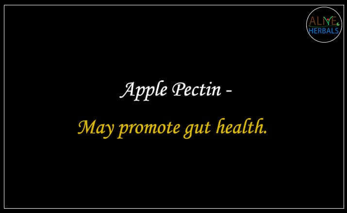 Apple Pectin - Buy from the natural herb store