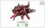 Arbol Chili - Buy at the Online Spice Store - Alive Herbals.