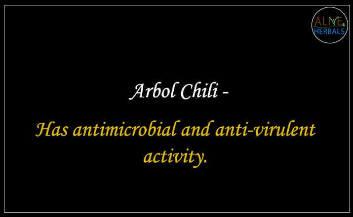 Arbol Chili - Buy at Spice Store Near Me - Alive Herbals.