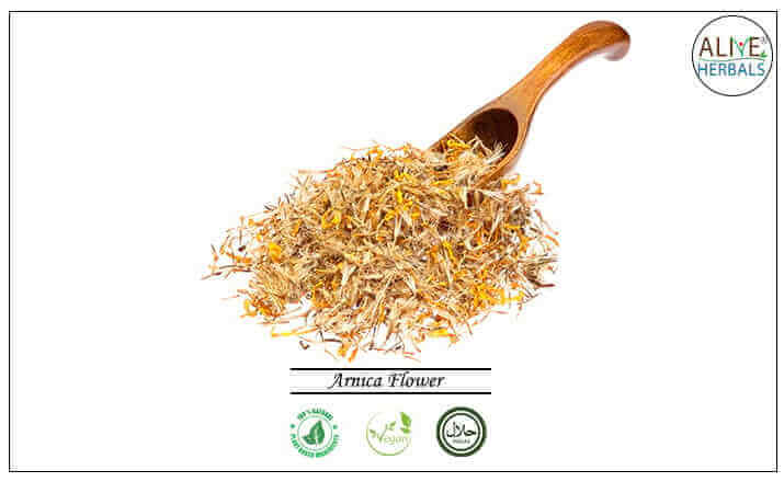 Arnica Flower - Buy at the Online Herbs Store - Alive Herbals.