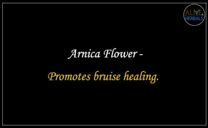 Arnica Flower - Buy at Herb Shop NYC - Alive Herbals.