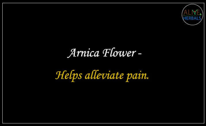Arnica Flower - Buy at the Online Herbs Store - Alive Herbals.