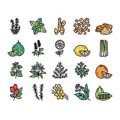 Buy Aromatherapy from the health food store in the USA - Alive Herbals