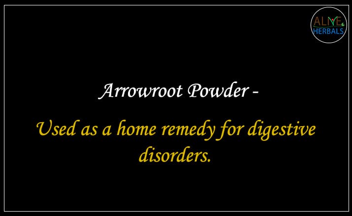 Arrowroot Powder - Buy at the Best Spice Store NYC - Alive Herbals.