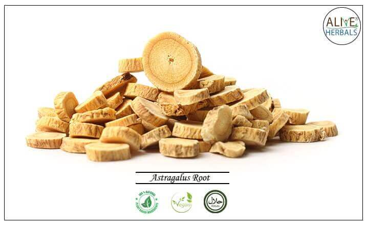 Astragalus Root - Buy from the health food store
