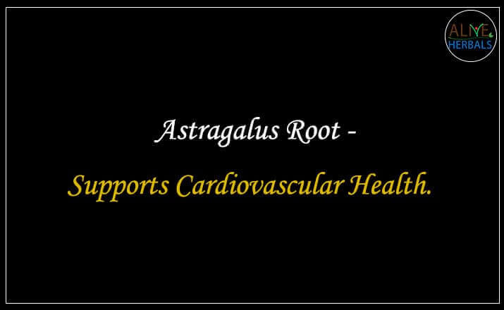 Astragalus Root - Buy from the natural health food store