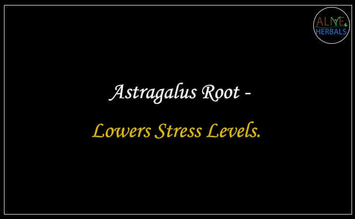 Astragalus Root - Buy from the natural herb store