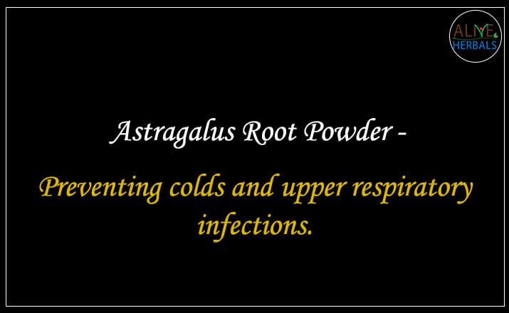 Astragalus Root Powder - Buy from the online herbal store