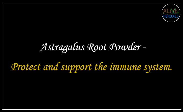 Astragalus Root Powder - Buy from the natural herb store