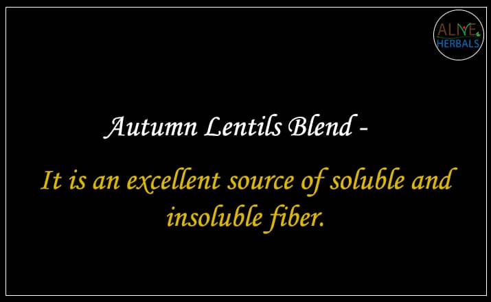 Autumn Blend Lentils - Buy From the lentils online store