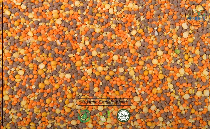 Autumn Blend Lentils - Buy From the Health Food Store