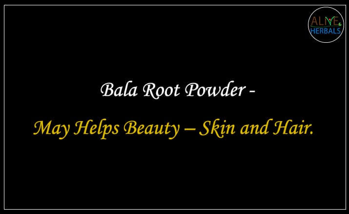 Bala powder - Buy from the natural health food store
