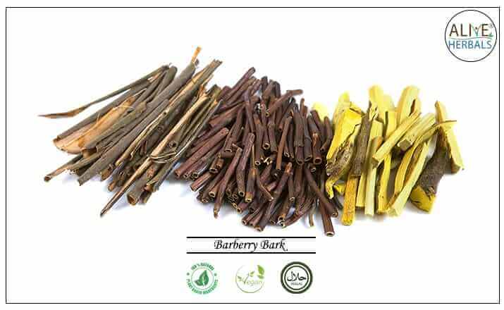 Barberry Bark - Buy from the health food store