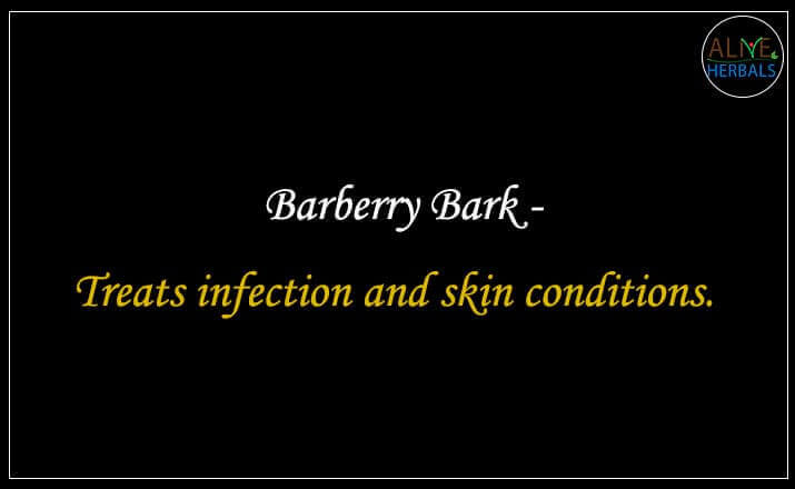 Barberry Bark - Buy from the online herbal store