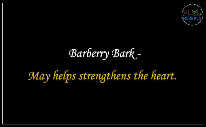 Barberry Bark - Buy from the natural health food store