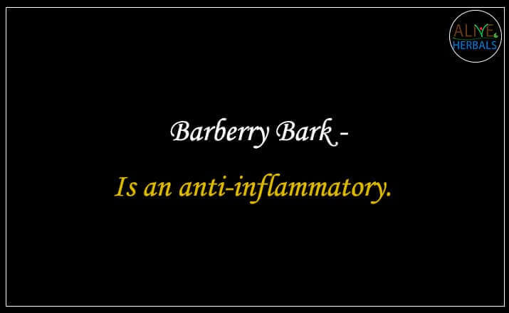 Barberry Bark - Buy from the natural herb store